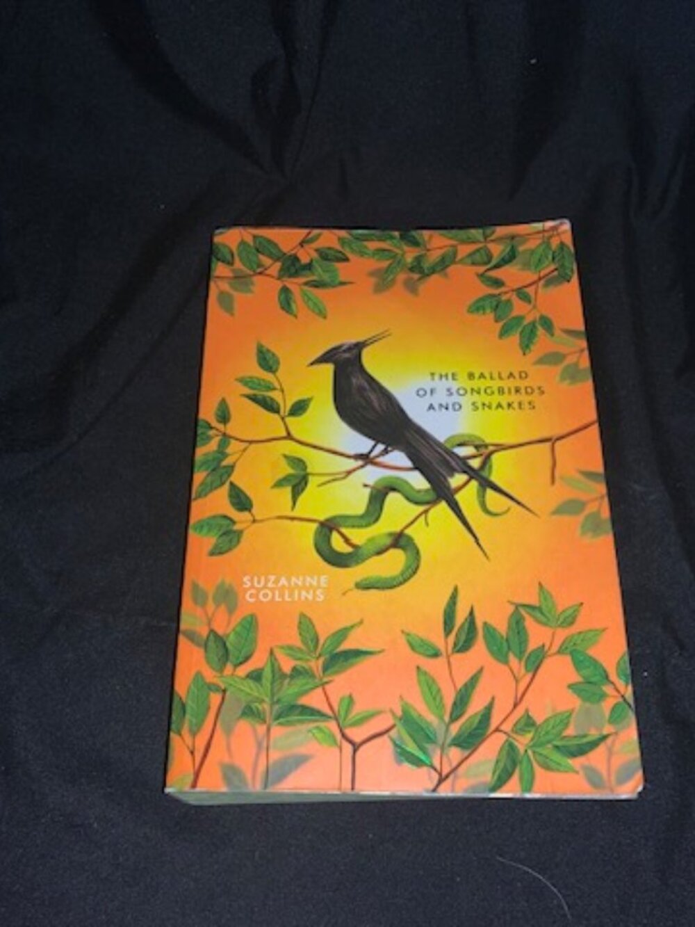 The Ballad of Songbirds & Snakes by Suzanne Collins – Paperback